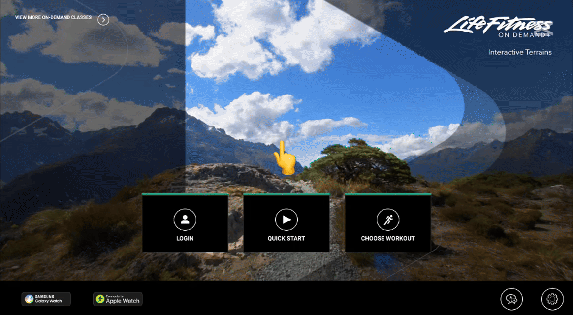 System option Entry.gif